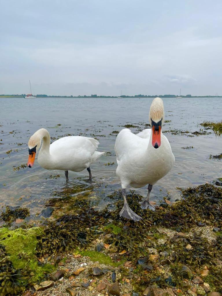 Hotel Sea Breeze Ark 900 Boat Emsworth Exterior foto